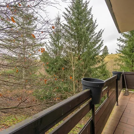 Fuchsblick 알테나우